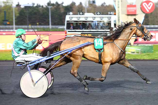 Photo d'arrivée de la course pmu PRIX AUGUSTA à PARIS-VINCENNES le Mardi 2 avril 2019