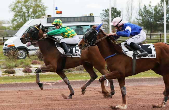 Photo d'arrivée de la course pmu PRIX DE L'AUBIER à ANGERS le Mercredi 3 avril 2019