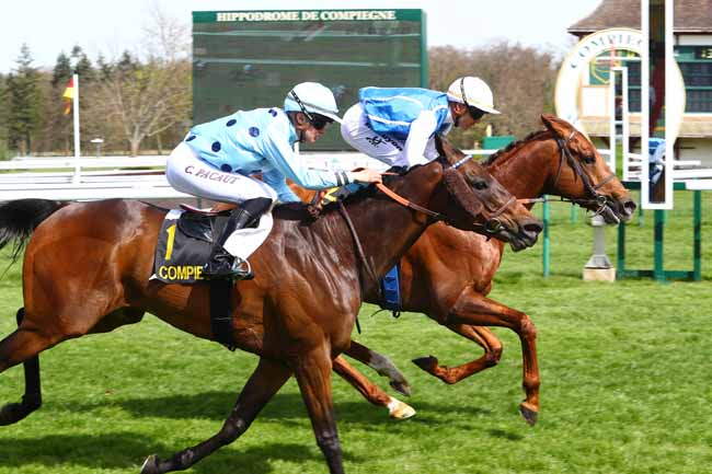 Photo d'arrivée de la course pmu PRIX DE MARGNY-LES-COMPIEGNE à COMPIEGNE le Vendredi 5 avril 2019