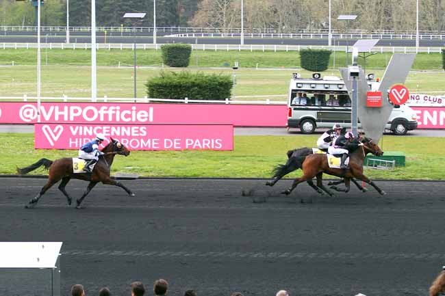 Photo d'arrivée de la course pmu PRIX DE DORCEAU à PARIS-VINCENNES le Samedi 6 avril 2019
