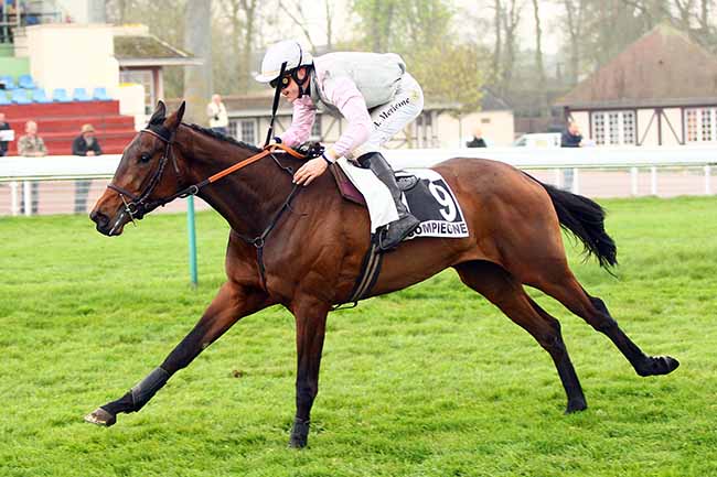 Photo d'arrivée de la course pmu PRIX SACCAGEUR à COMPIEGNE le Mardi 9 avril 2019