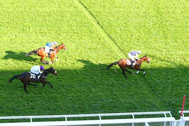 Photo d'arrivée de la course pmu PRIX NECOR à AUTEUIL le Jeudi 11 avril 2019