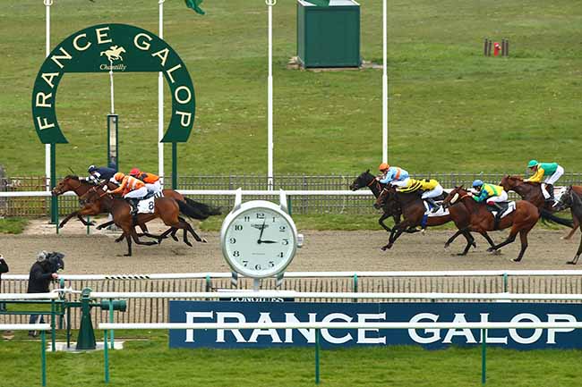 Photo d'arrivée de la course pmu PRIX DU POTEAU NEUF à CHANTILLY le Mardi 16 avril 2019