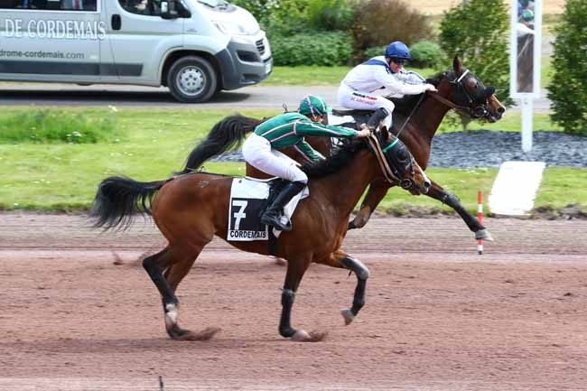 Photo d'arrivée de la course pmu PRIX DE LA VILLE DE SAVENAY à CORDEMAIS le Mercredi 17 avril 2019