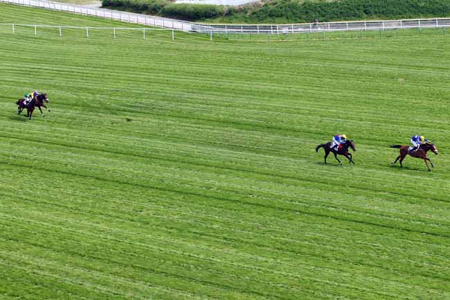 Photo d'arrivée de la course pmu PRIX ANDRE BOINGNERES à AUTEUIL le Dimanche 21 avril 2019