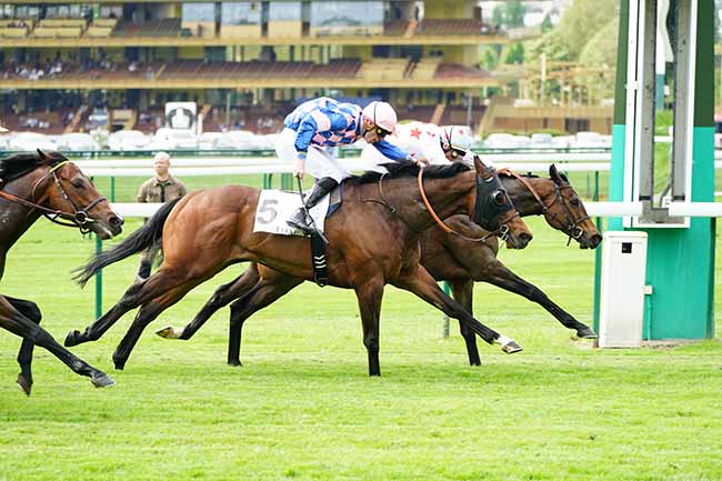 Photo d'arrivée de la course pmu PRIX DU HARAS ROYAL DE MEUDON à LONGCHAMP le Lundi 22 avril 2019