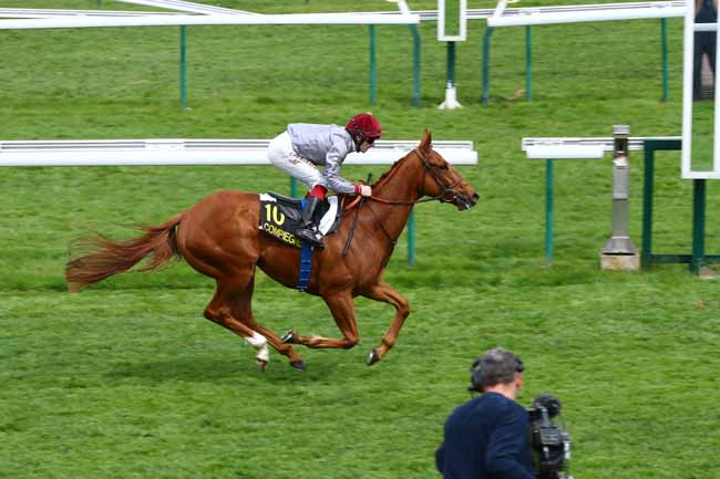 Photo d'arrivée de la course pmu PRIX DE L'AMIENOIS à COMPIEGNE le Mardi 23 avril 2019