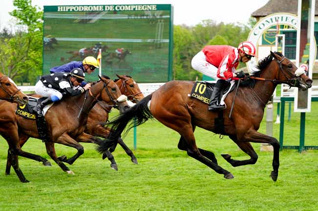 Photo d'arrivée de la course pmu PRIX DU LAONNOIS à COMPIEGNE le Mardi 23 avril 2019