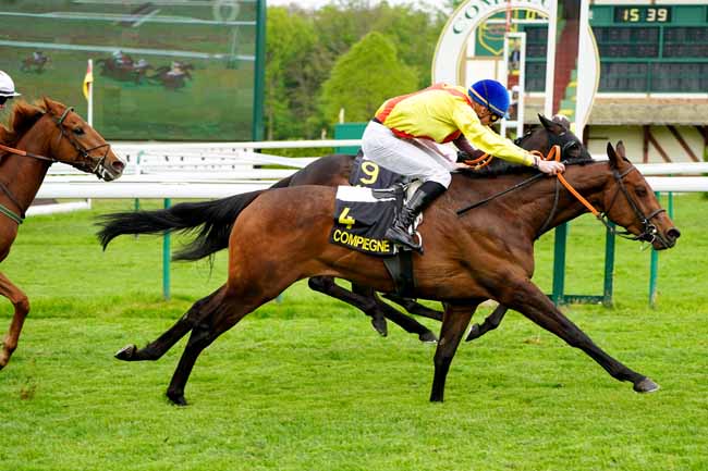 Photo d'arrivée de la course pmu PRIX DE LA BOURDELOTTE à COMPIEGNE le Mardi 23 avril 2019