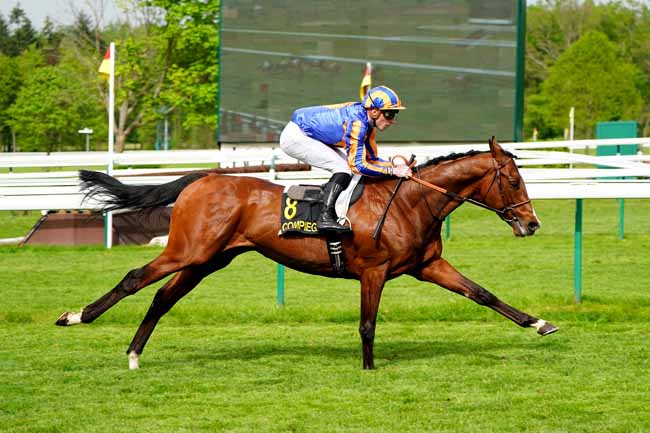 Photo d'arrivée de la course pmu PRIX DE VERBERIE à COMPIEGNE le Mardi 23 avril 2019