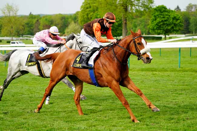 Photo d'arrivée de la course pmu PRIX DE SAINT-CREPIN à COMPIEGNE le Mardi 23 avril 2019