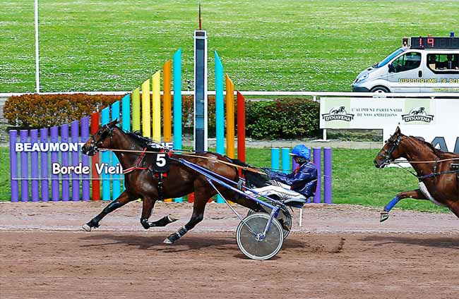 Photo d'arrivée de la course pmu GRAND PRIX BARON D'ARDEUIL AOC BUZET à BEAUMONT-DE-LOMAGNE le Mercredi 24 avril 2019