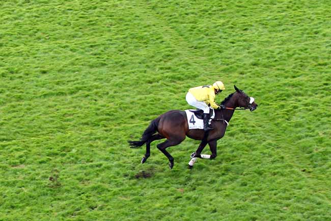 Photo d'arrivée de la course pmu PRIX DES CHARENTES à AUTEUIL le Samedi 27 avril 2019