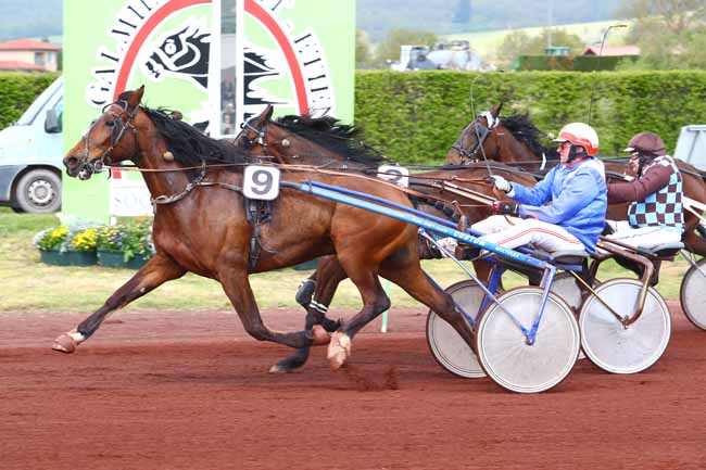 Photo d'arrivée de la course pmu PRIX AUDI E-TRON QUATTRO à SAINT GALMIER le Mardi 30 avril 2019