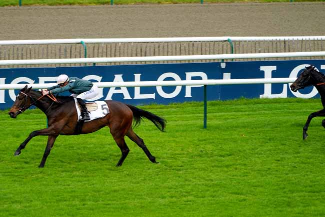 Photo d'arrivée de la course pmu PRIX DE LA CALECHE DES IMPERATRICES à CHANTILLY le Jeudi 2 mai 2019