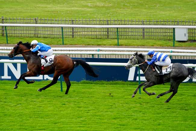 Photo d'arrivée de la course pmu PRIX DE LA COUR DES REMISES à CHANTILLY le Jeudi 2 mai 2019