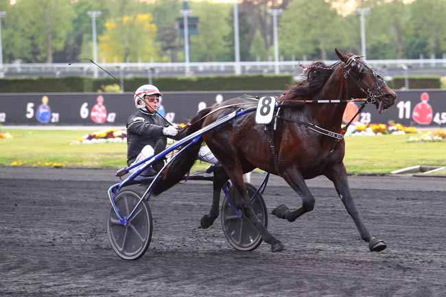 Photo d'arrivée de la course pmu PRIX BETTINA à PARIS-VINCENNES le Vendredi 3 mai 2019