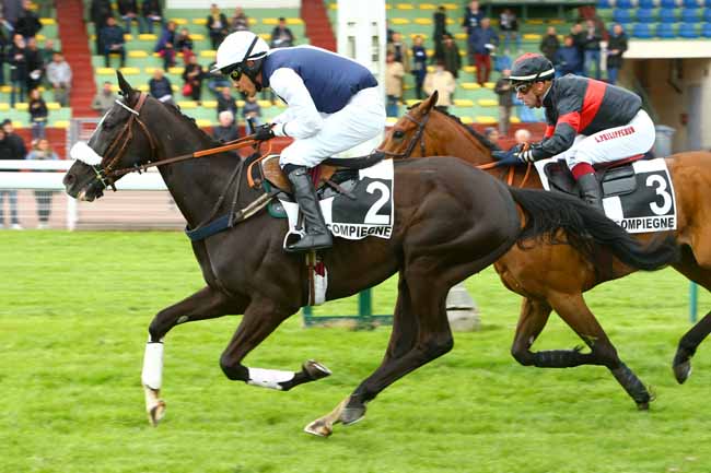 Photo d'arrivée de la course pmu PRIX QUOMODO à COMPIEGNE le Dimanche 5 mai 2019