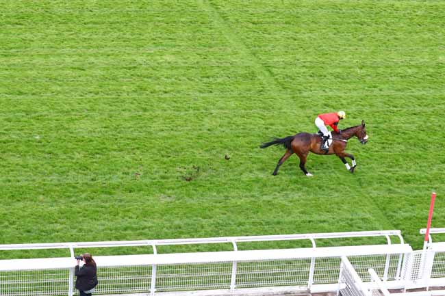 Photo d'arrivée de la course pmu PRIX VANILLE à AUTEUIL le Lundi 6 mai 2019
