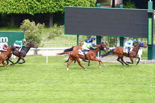 Photo d'arrivée de la course pmu PRIX DE BUZENVAL à SAINT-CLOUD le Mardi 7 mai 2019