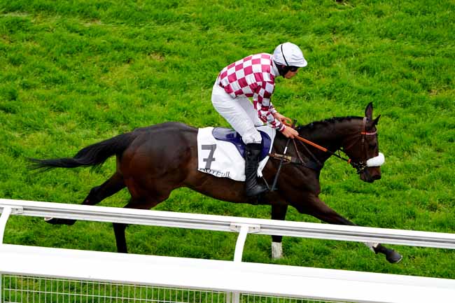 Photo d'arrivée de la course pmu PRIX DU NIVERNAIS à AUTEUIL le Vendredi 10 mai 2019