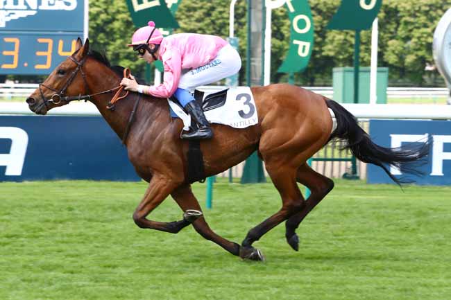 Photo d'arrivée de la course pmu PRIX DE LA MARE LANDRY à CHANTILLY le Samedi 11 mai 2019