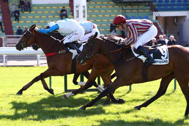 Photo d'arrivée de la course pmu PRIX DU GRAND MAITRE à COMPIEGNE le Mardi 14 mai 2019