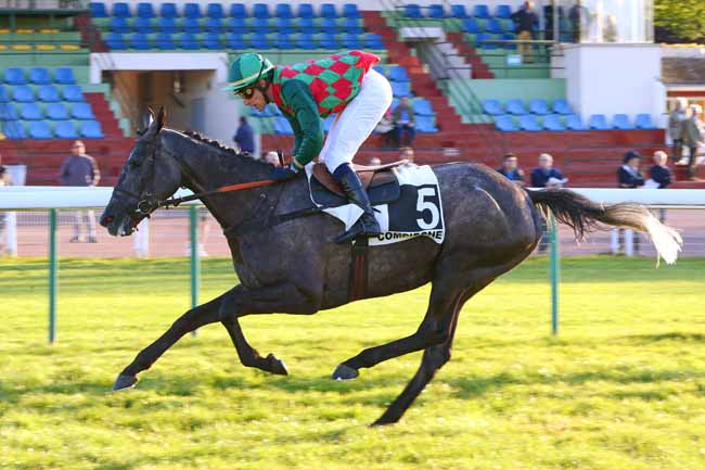 Photo d'arrivée de la course pmu PRIX DE BRISSAC à COMPIEGNE le Mardi 14 mai 2019