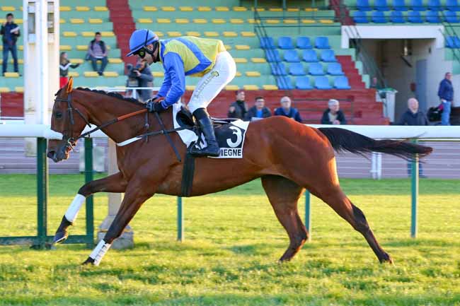 Photo d'arrivée de la course pmu PRIX EL PASO III à COMPIEGNE le Mardi 14 mai 2019