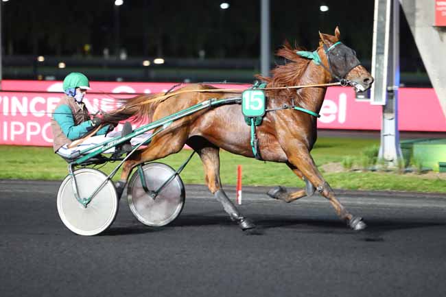 Photo d'arrivée de la course pmu PRIX KATHARINA à PARIS-VINCENNES le Mardi 14 mai 2019