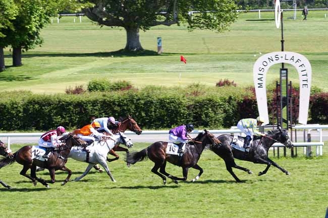 Photo d'arrivée de la course pmu PRIX DU GAZON D'ACHERES à MAISONS-LAFFITTE le Mercredi 15 mai 2019