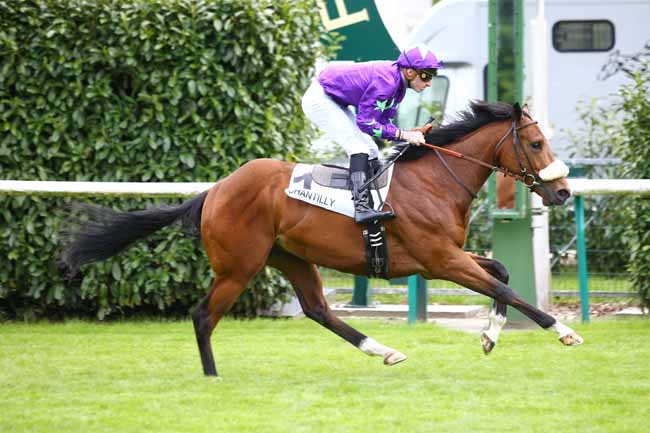 Photo d'arrivée de la course pmu PRIX D'ORGEMONT à CHANTILLY le Vendredi 17 mai 2019