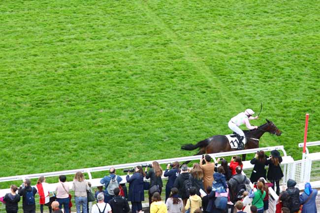 Photo d'arrivée de la course pmu GRANDE COURSE DE HAIES D'AUTEUIL à AUTEUIL le Samedi 18 mai 2019