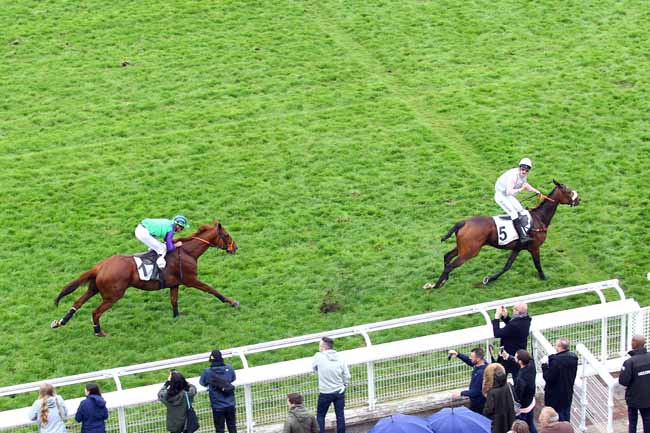 Photo d'arrivée de la course pmu PRIX JACKAL à AUTEUIL le Dimanche 19 mai 2019