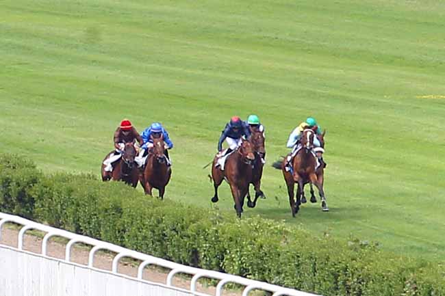 Photo d'arrivée de la course pmu PRIX CLEOPATRE à SAINT-CLOUD le Lundi 20 mai 2019