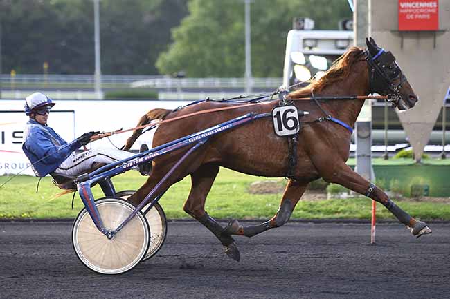 Photo d'arrivée de la course pmu PRIX SIRRAH à PARIS-VINCENNES le Vendredi 24 mai 2019