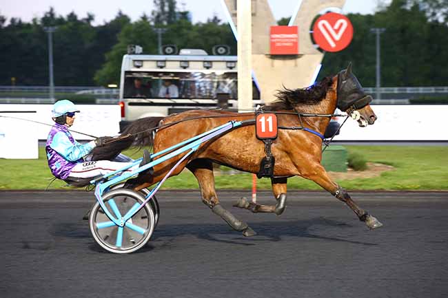 Photo d'arrivée de la course pmu PRIX OZO à PARIS-VINCENNES le Vendredi 24 mai 2019
