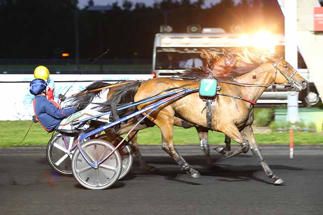 Photo d'arrivée de la course pmu PRIX RHEITA à PARIS-VINCENNES le Vendredi 24 mai 2019