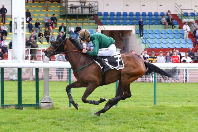 Photo d'arrivée de la course pmu PRIX OUISTREHAM à COMPIEGNE le Samedi 25 mai 2019