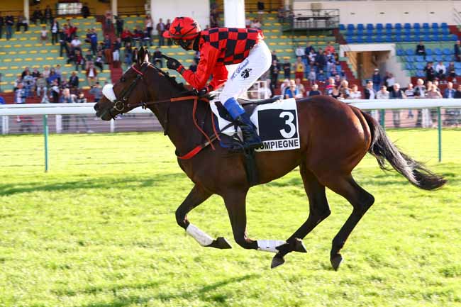 Photo d'arrivée de la course pmu PRIX DE SAINT-GERMAIN à COMPIEGNE le Samedi 25 mai 2019