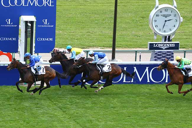 Photo d'arrivée de la course pmu PRIX DE VERNEUIL à LONGCHAMP le Dimanche 26 mai 2019