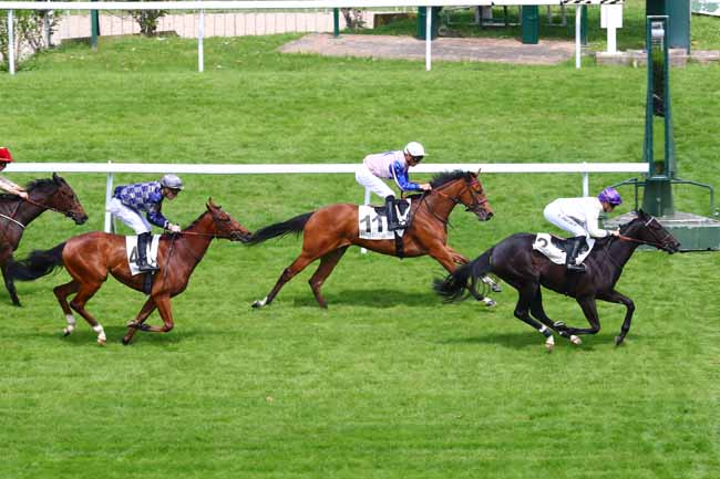 Photo d'arrivée de la course pmu PRIX LA BELLE II à SAINT-CLOUD le Lundi 27 mai 2019