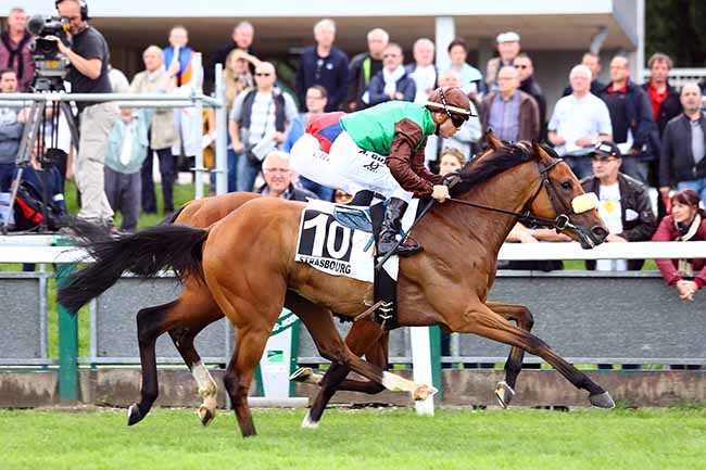 Photo d'arrivée de la course pmu PRIX DE LA VALSE - BECK BOISSONS à STRASBOURG le Mardi 28 mai 2019