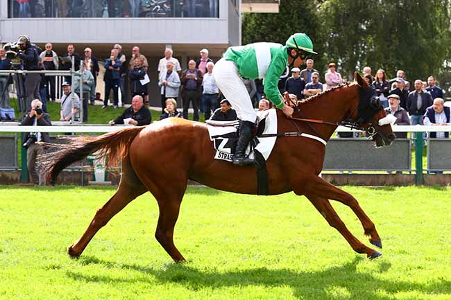 Photo d'arrivée de la course pmu PRIX HYERES III à STRASBOURG le Mardi 28 mai 2019