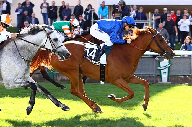 Photo d'arrivée de la course pmu PRIX NATHANAELLE ARTU à STRASBOURG le Mardi 28 mai 2019