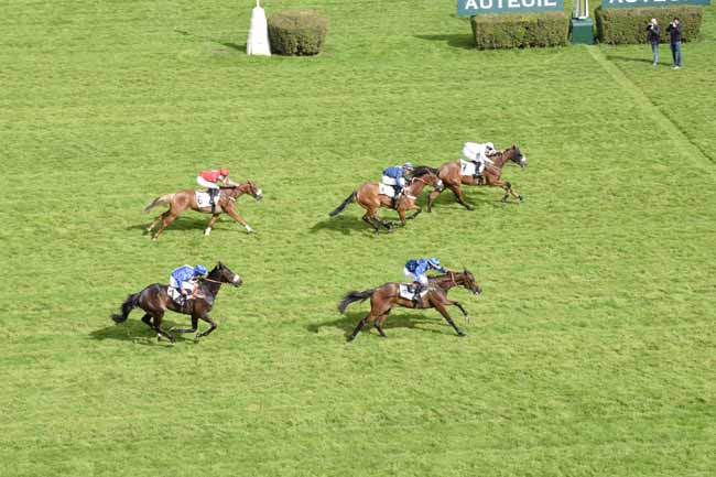 Photo d'arrivée de la course pmu PRIX DE LA MUETTE à AUTEUIL le Mardi 28 mai 2019