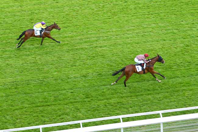 Photo d'arrivée de la course pmu PRIX MIROR à AUTEUIL le Mardi 28 mai 2019