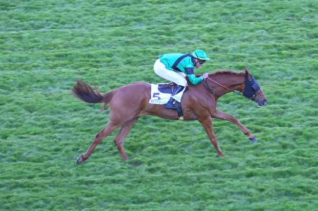 Photo d'arrivée de la course pmu PRIX VALMAJOUR à AUTEUIL le Mardi 28 mai 2019