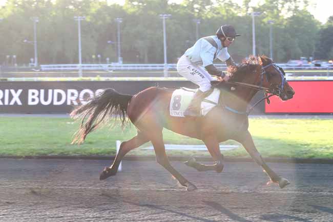Photo d'arrivée de la course pmu PRIX BUDROSA à PARIS-VINCENNES le Mardi 28 mai 2019