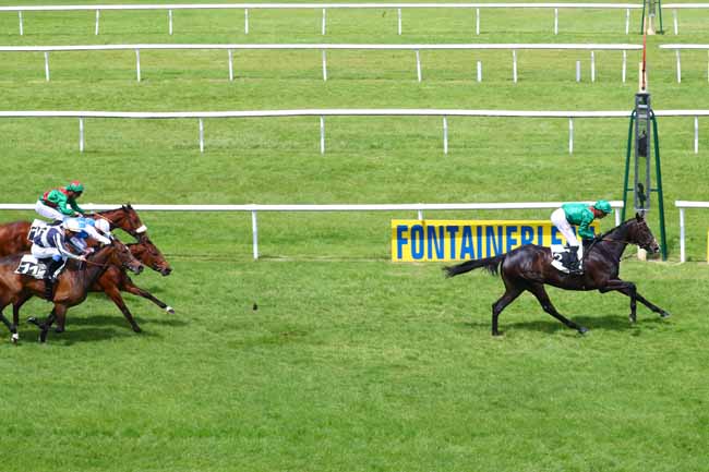 Photo d'arrivée de la course pmu PRIX DES SENTIERS DENECOURT à FONTAINEBLEAU le Mercredi 29 mai 2019